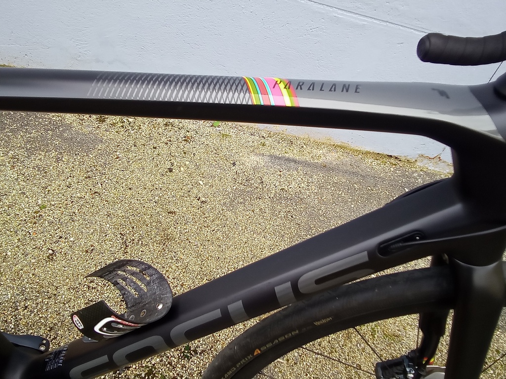 Vélo route Occasion FOCUS PARALANE Taille S Shimano Ultégra 11v