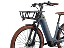 Vélo Urbain LIV Flourish E+ 3
