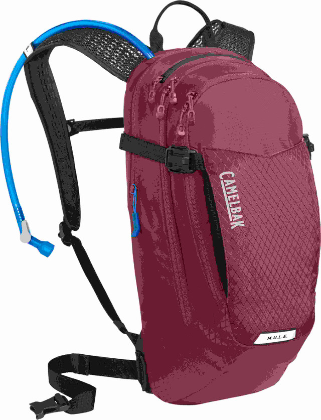 Sac à eau CAMELBAK MULE 3L/9L Rouge Brique