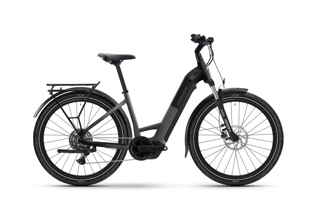 VTC HAIBIKE TREKKING 3 LOW 27.5" 540w Silver/Stardust Mat